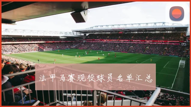 法甲马赛现役球员名单汇总