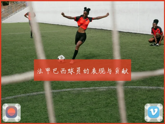 法甲巴西球员的表现与贡献