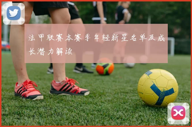 法甲联赛本赛季年轻新星名单及成长潜力解读