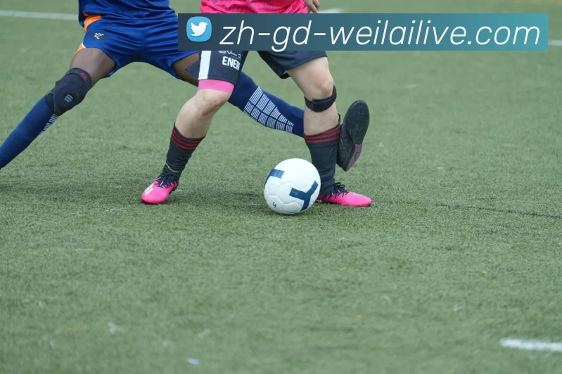 纬来体育平台生态图