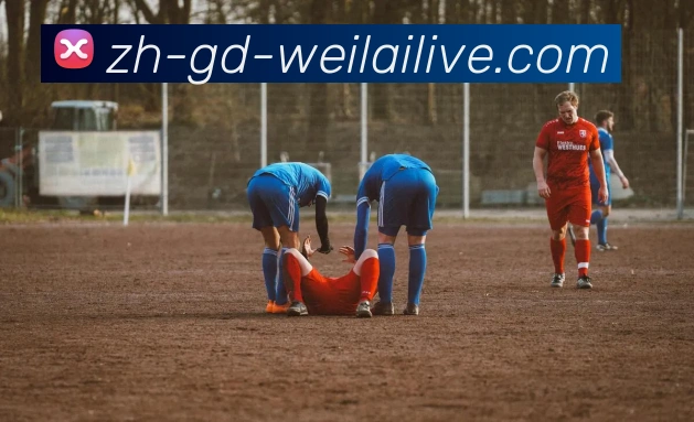 纬来体育全站App